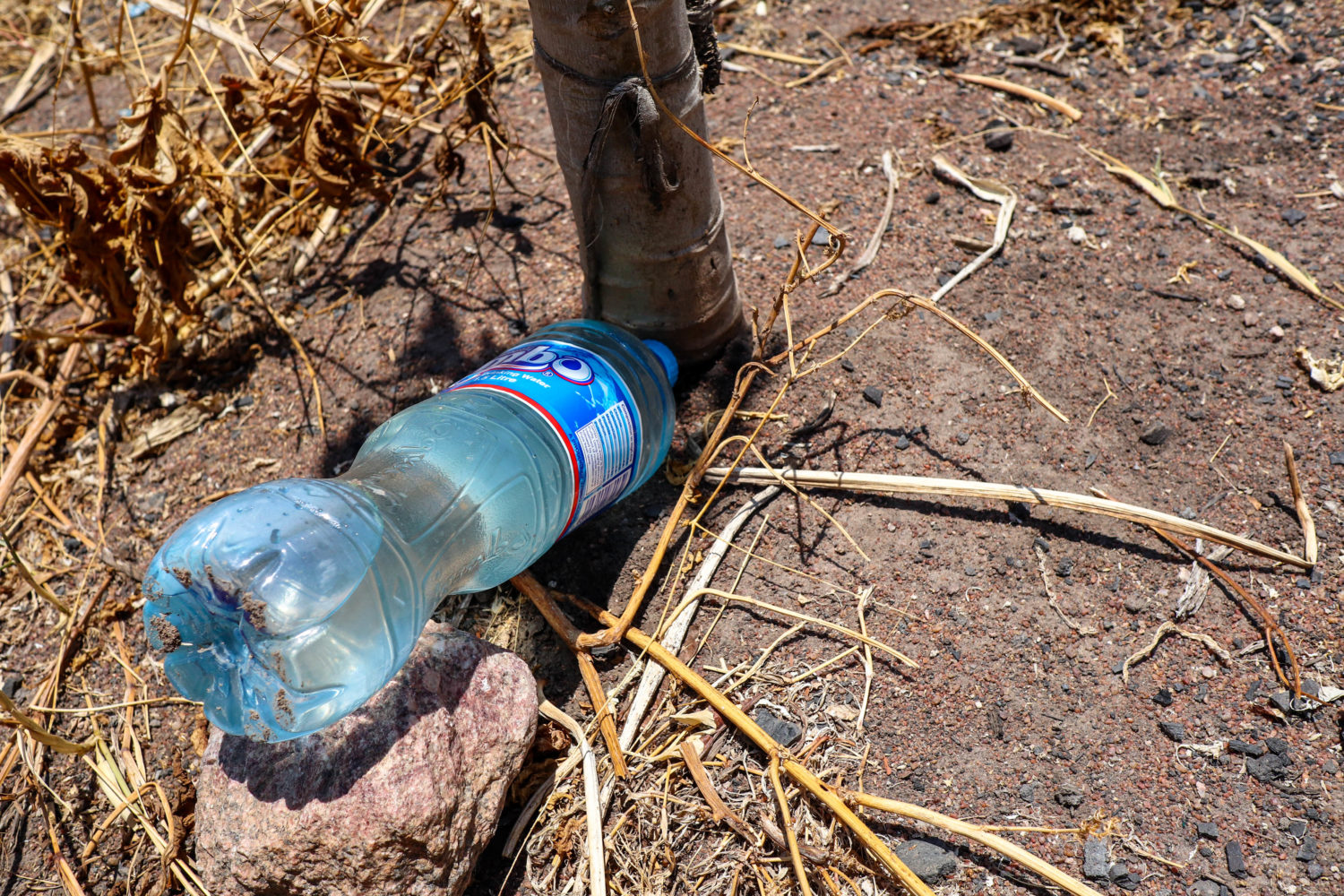 En vattenflaska används för att vattna träd.
